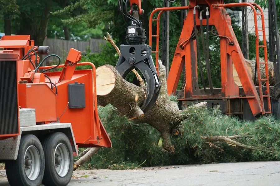 Reliable Tree Services Owensboro, KY Reliable Tree Services Owensboro, KY