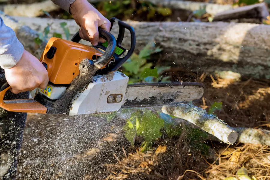 Superior Tree Services Owensboro, KY Superior Tree Services Owensboro, KY